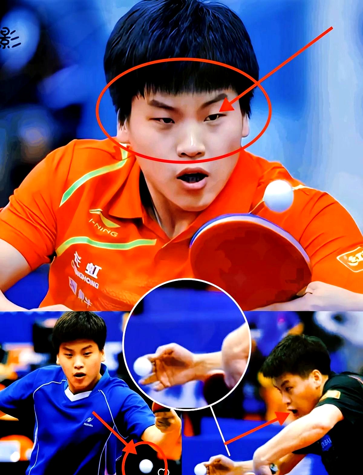 lol竞猜-波兰乒乓球队完胜德国乒乓球队，张继科爆发神勇的简单介绍