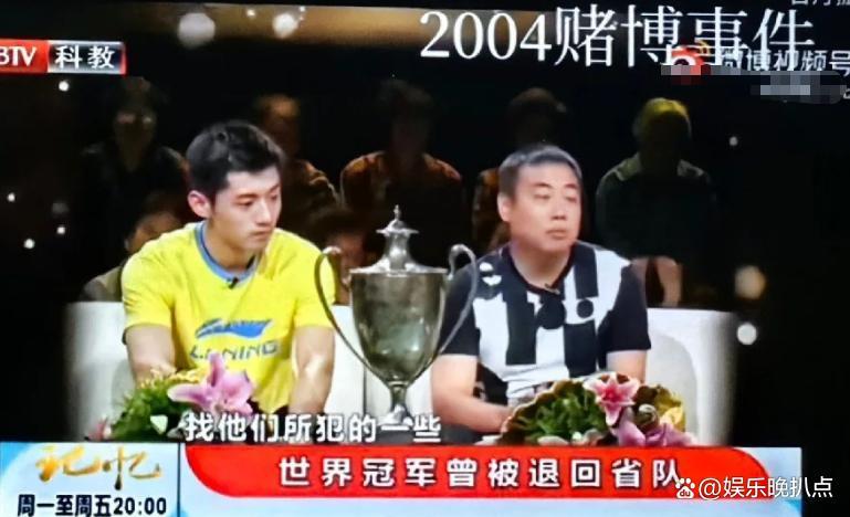 日本队鏖战德国队，张继科关键制胜的简单介绍