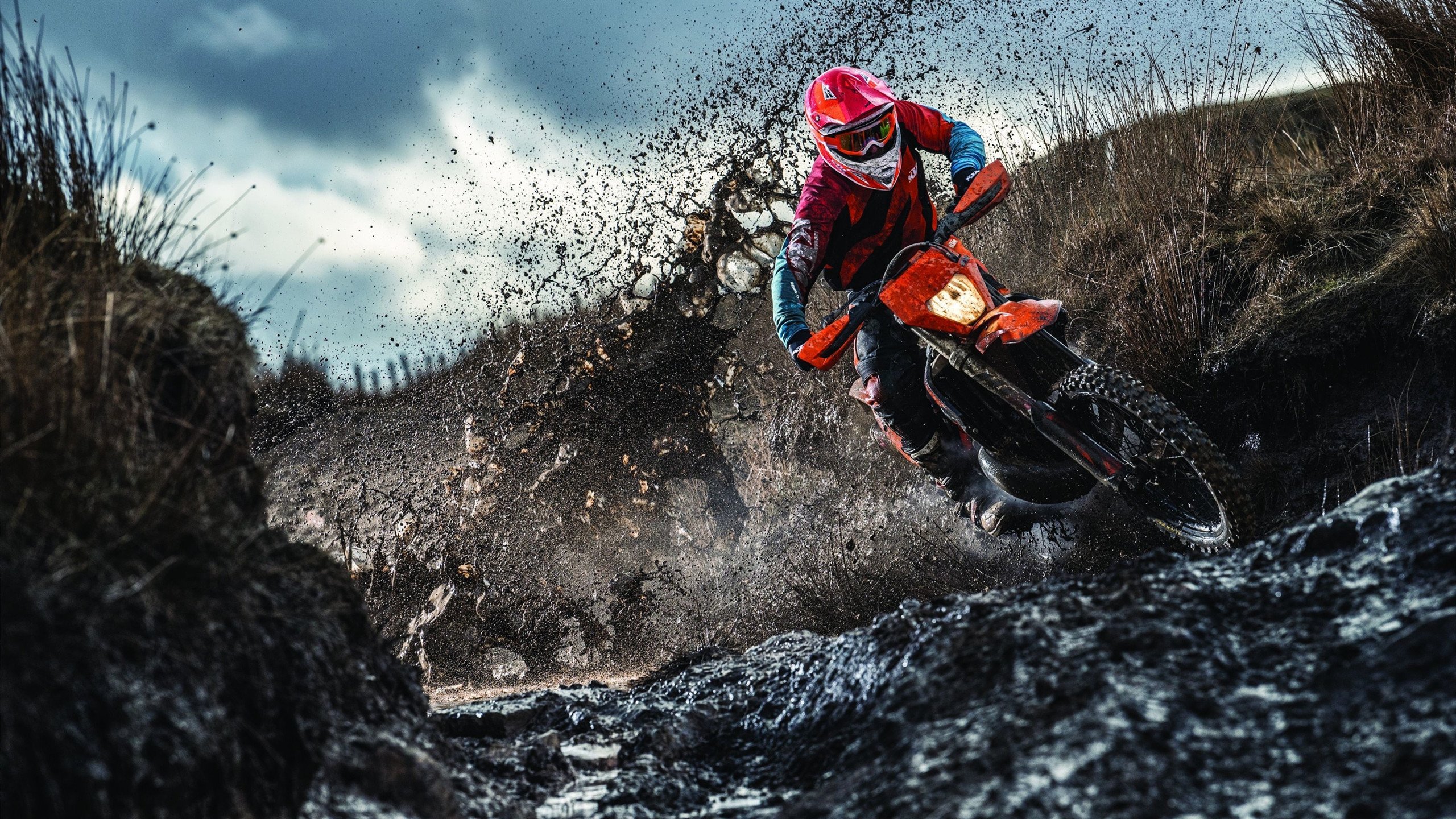 逆转与惊艳,日本队翻盘法国,陈雨菲闪耀全场